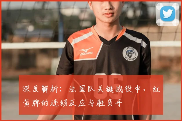 深度解析：法国队关键战役中，红黄牌的连锁反应与胜负手